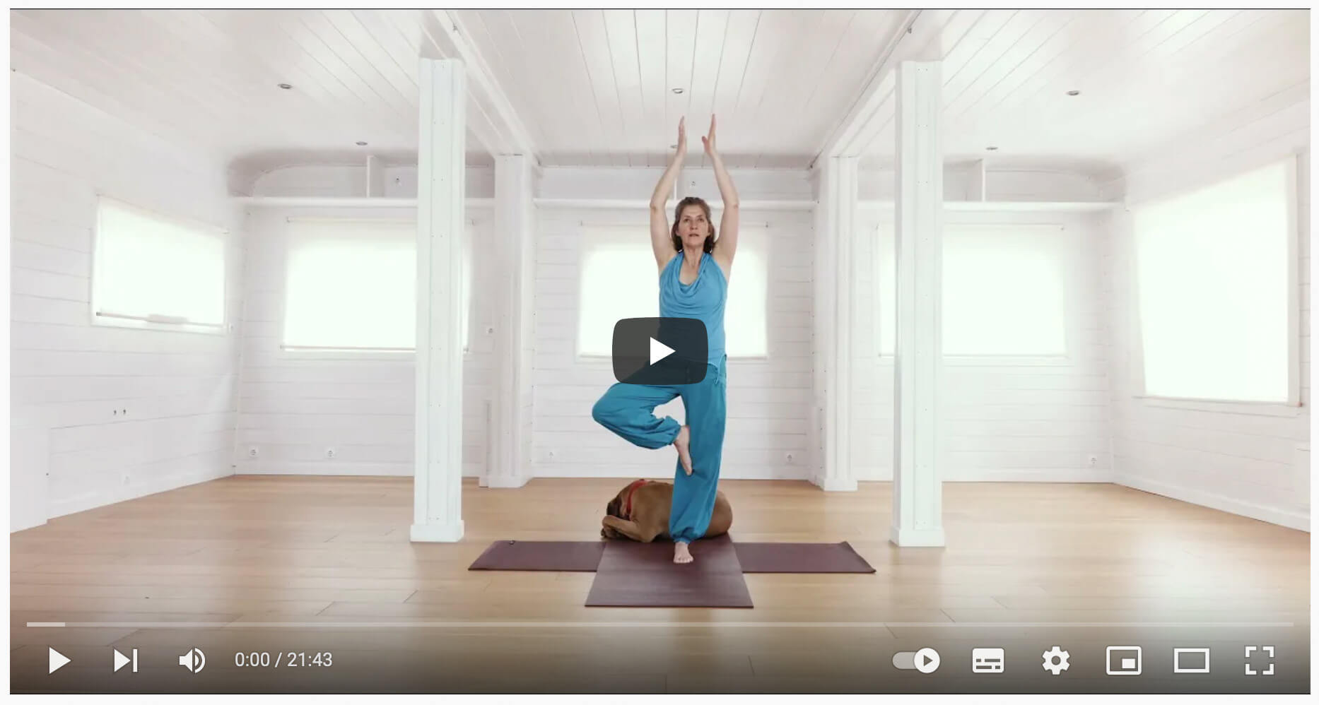 Video laden: 